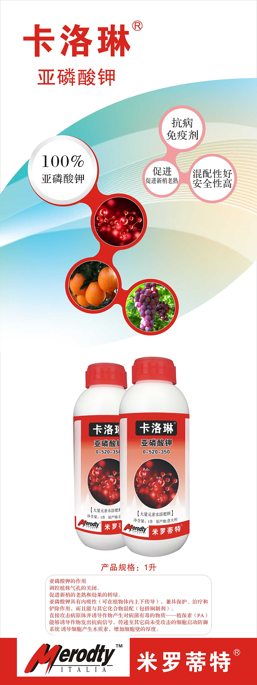 卡洛琳?1.jpg