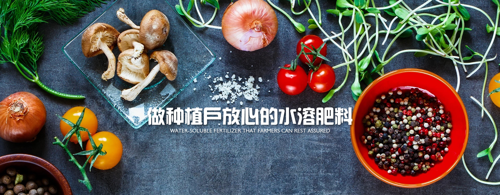 進(jìn)口水溶肥