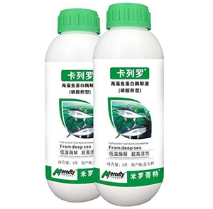 卡列羅?